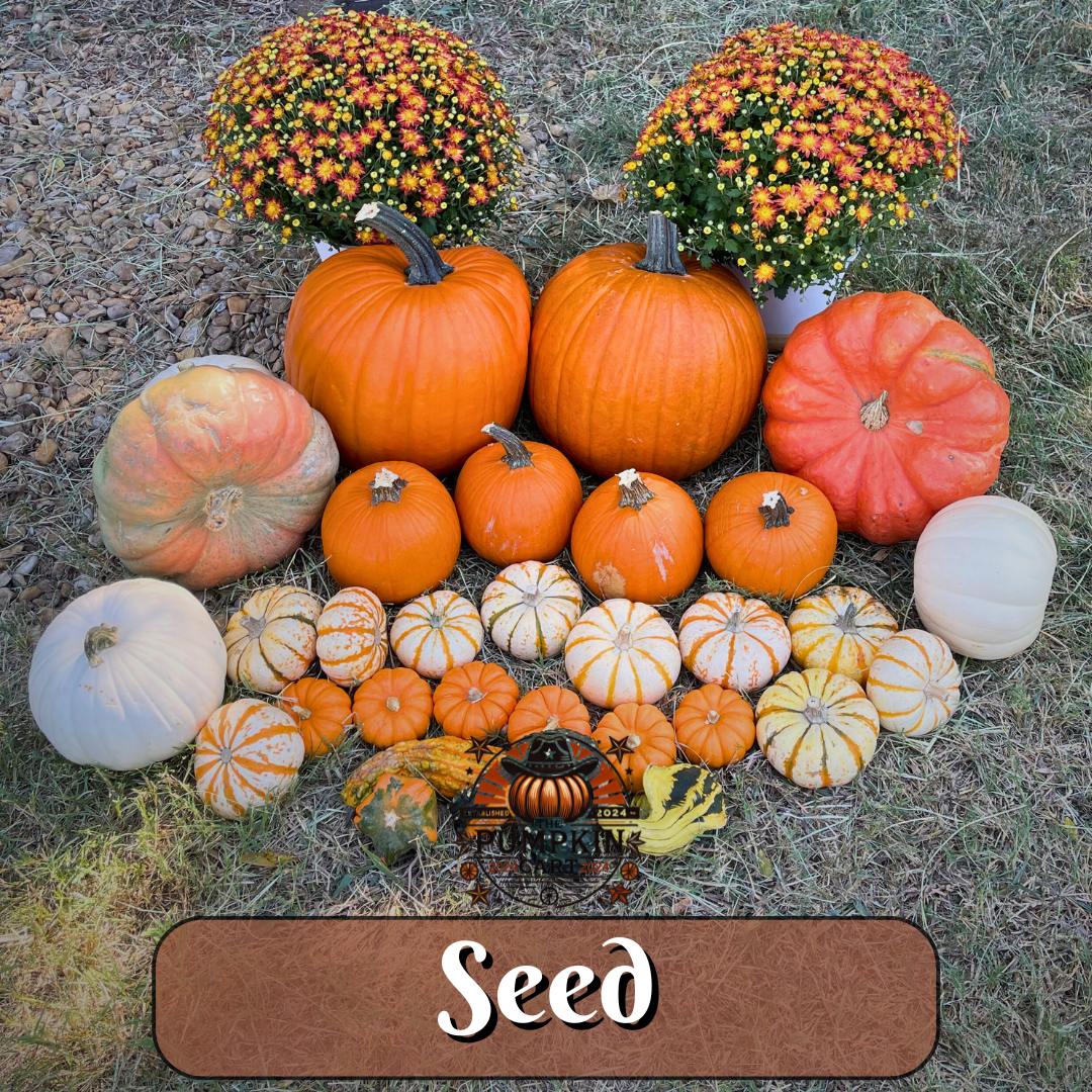 SEED Package