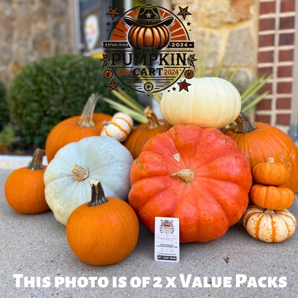 5 Pumpkin Value Pack! FALL SPECIAL!
