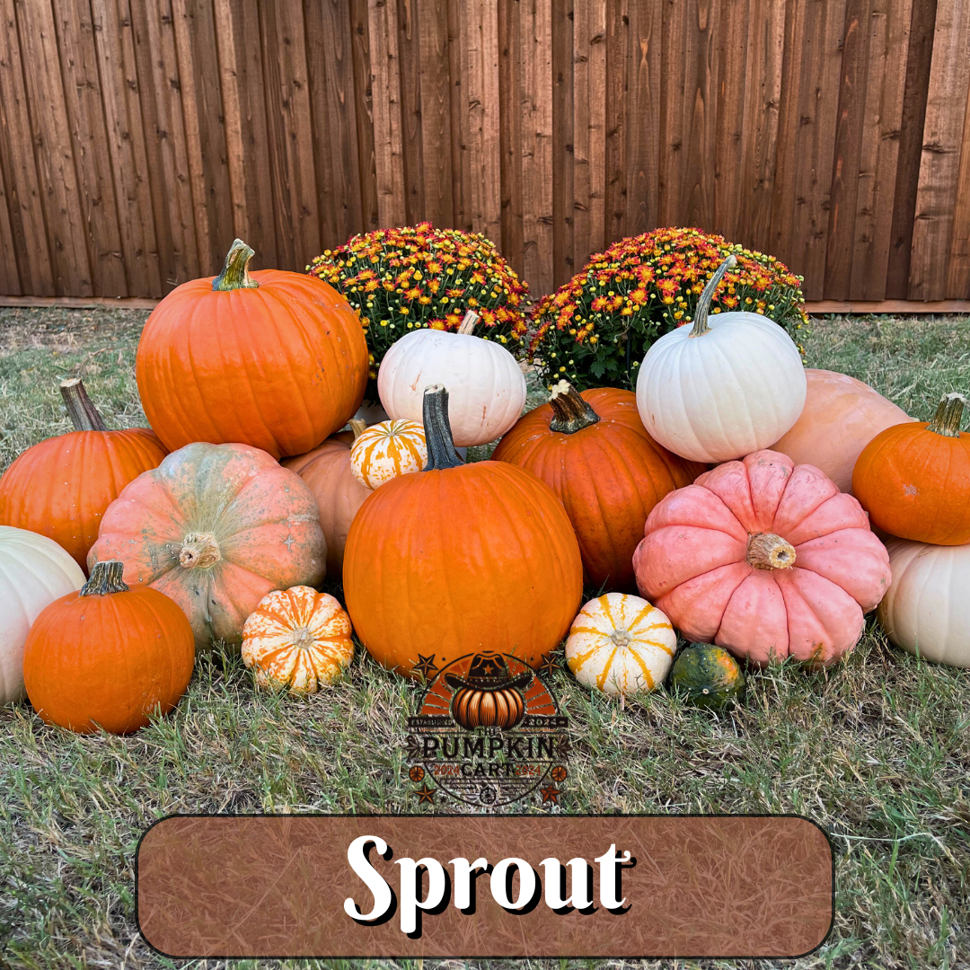 SPROUT Package