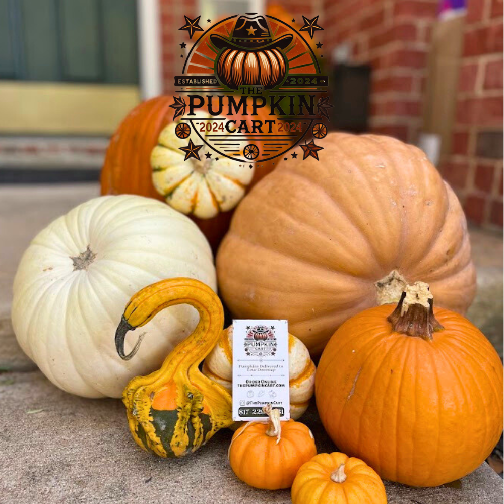 5 Pumpkin Value Pack! FALL SPECIAL!