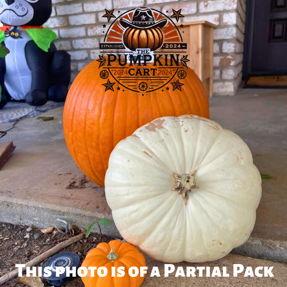 5 Pumpkin Value Pack! FALL SPECIAL!