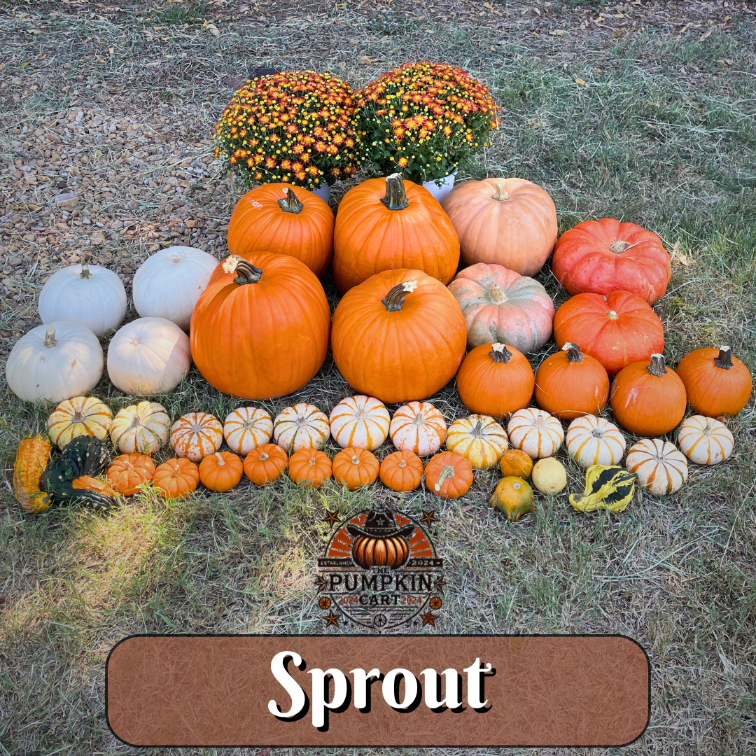 SPROUT Package