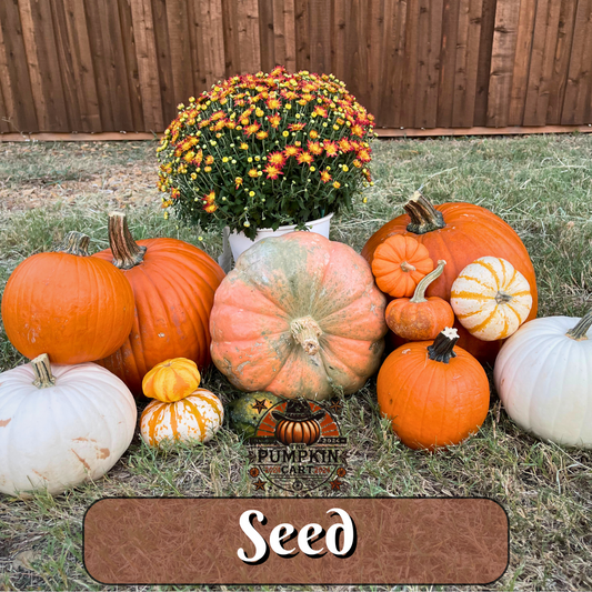 SEED Package